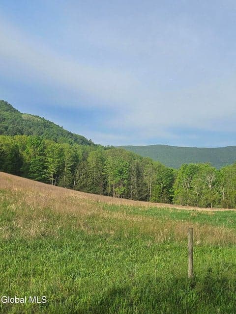 L15.14 Colby Road, Schoharie, NY, photo 3