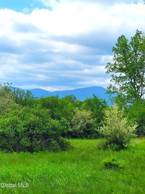 L13 Mackey Road #L13, Durham, NY, photo 3