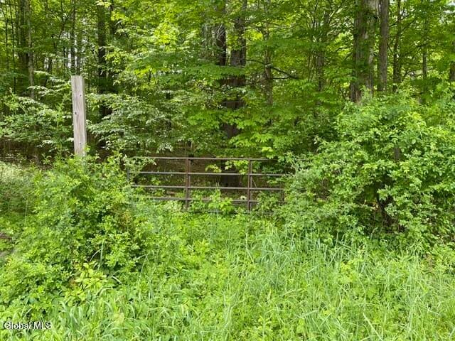 467 Roosevelt Avenue, Cairo, NY, photo 2