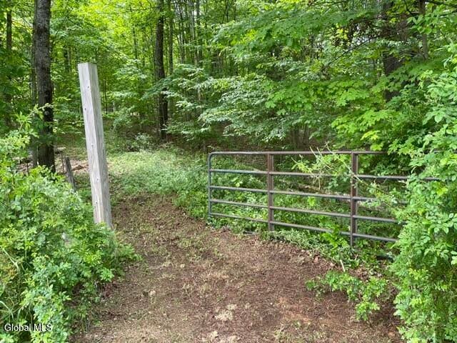 467 Roosevelt Avenue, Cairo, NY