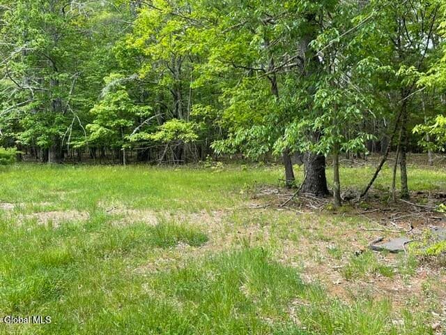 467 Roosevelt Avenue, Cairo, NY, photo 4