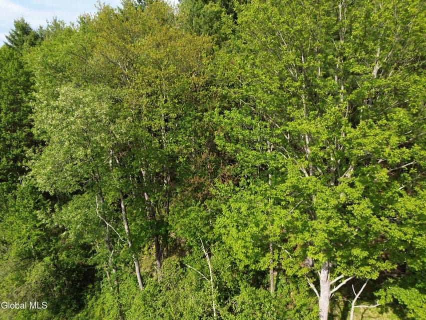 264 Conley Road, Cambridge, NY, photo 2