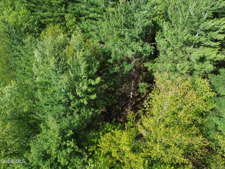 264 Conley Road, Cambridge, NY, photo 5