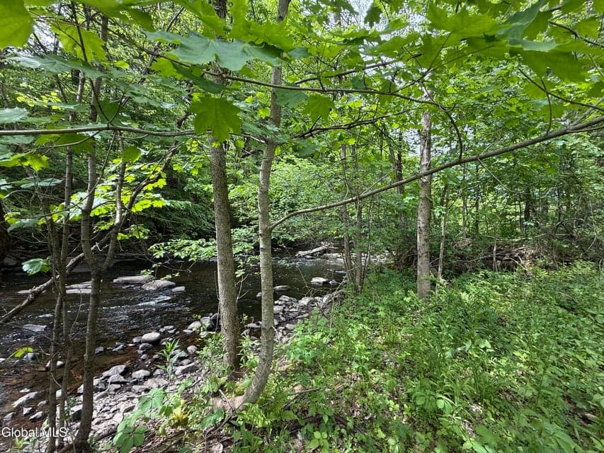 L15.2 Park Street, Hagaman, NY, photo 2