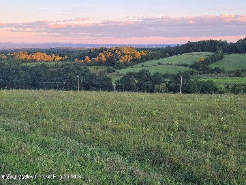 Lot 6 Route 51, Coxsackie, NY, photo 4