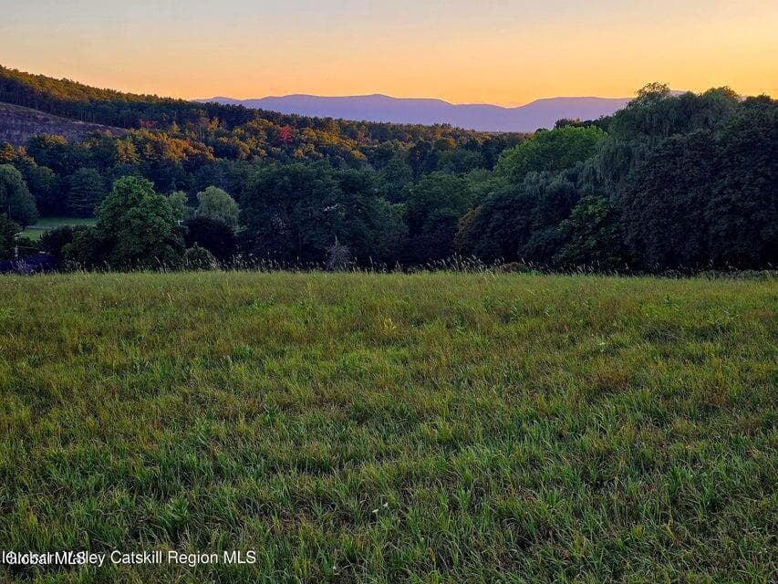 Lot 6 Route 51, Coxsackie, NY, photo 5