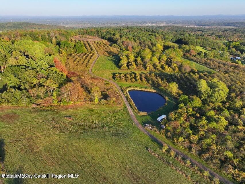 Lot 1 Mountain View Drive, Coxsackie, NY, photo 4