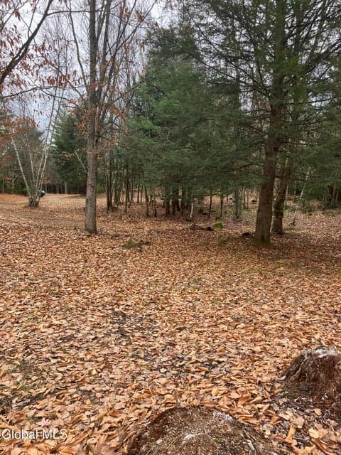 15.114 Scofield Road, Lake Luzerne, NY, photo 5
