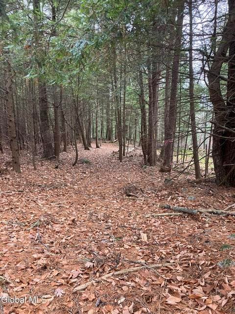15.114 Scofield Road, Lake Luzerne, NY, photo 4