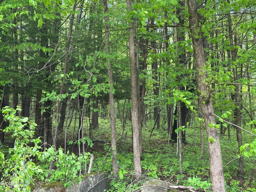 420 Tillboro Road, Ephratah, NY, photo 2