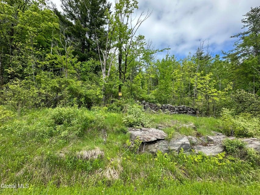 420 Tillboro Road, Ephratah, NY, photo 3