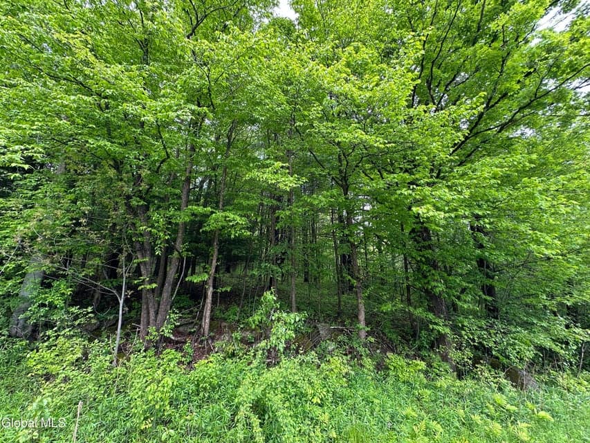 420 Tillboro Road, Ephratah, NY, photo 5