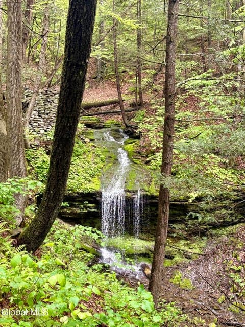 392 Burnt Hill, Blenheim, NY, photo 3