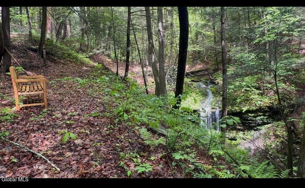 392 Burnt Hill, Blenheim, NY, photo 4