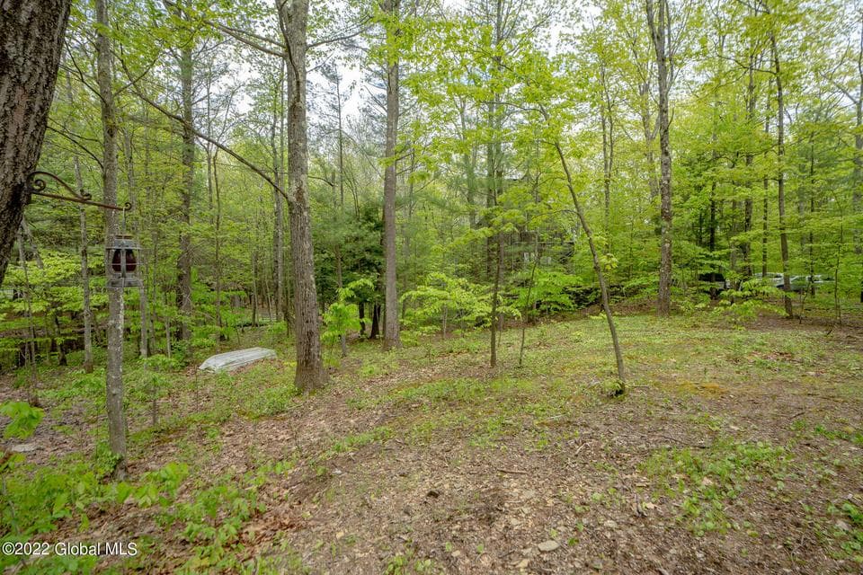 8 Robin Ann Lane, Westerlo, NY, photo 4