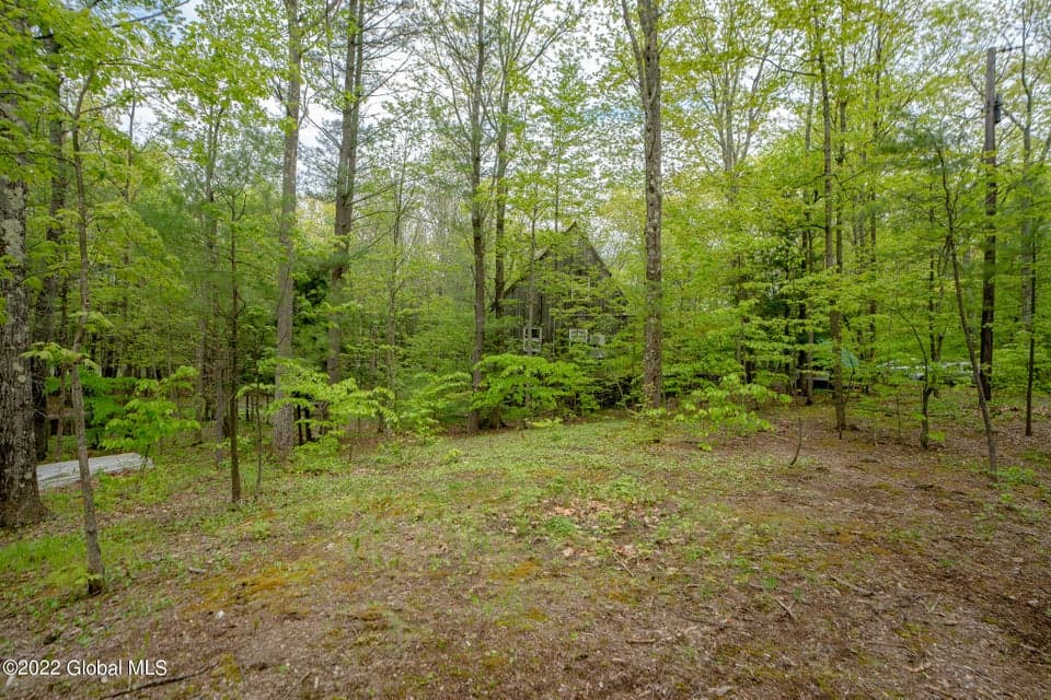 8 Robin Ann Lane, Westerlo, NY, photo 5