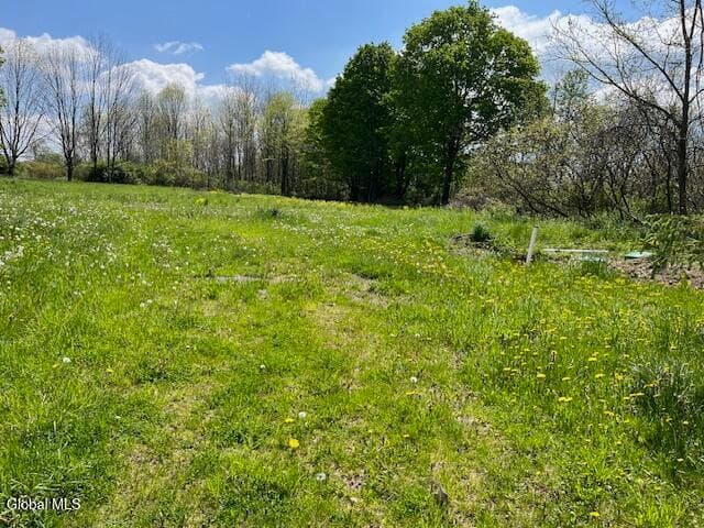 296 Evergreen Road, Carlisle, NY, photo 4
