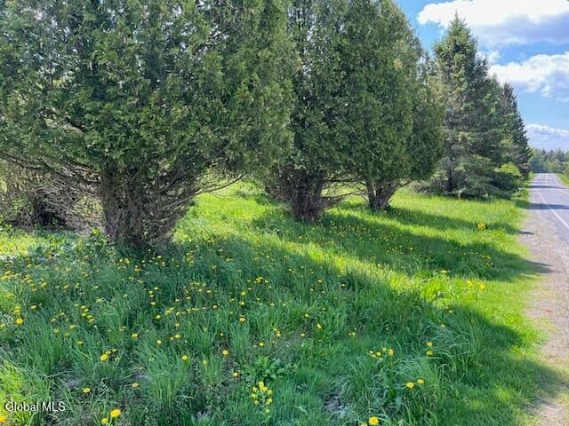 296 Evergreen Road, Carlisle, NY, photo 2