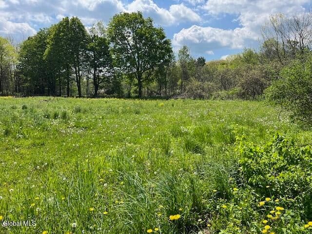 296 Evergreen Road, Carlisle, NY, photo 3