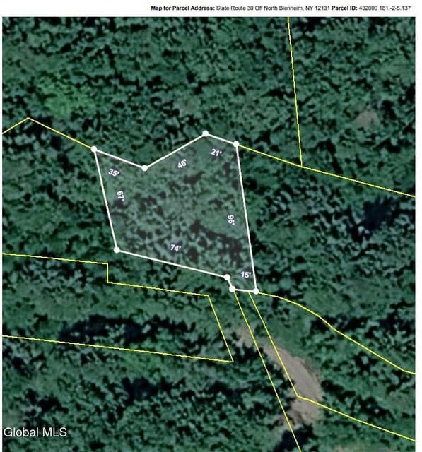 L5.137 State Route 30 Off, Blenheim, NY, photo 2