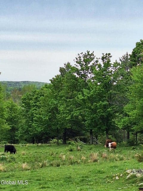 53 Snyder Road, Grafton, NY, photo 2