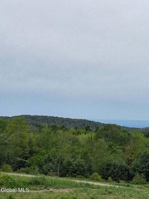53 Snyder Road, Grafton, NY, photo 4