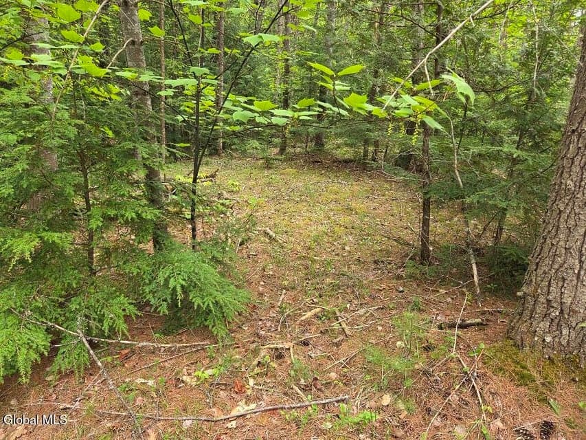 L2 & L3 Old Schroon Road, Pottersville, NY, photo 1