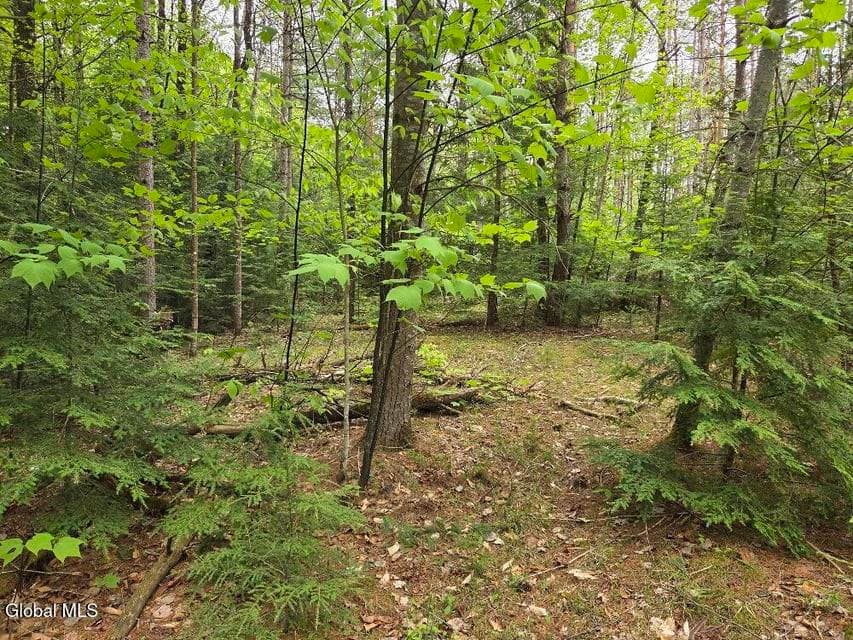 L2 & L3 Old Schroon Road, Pottersville, NY, photo 3