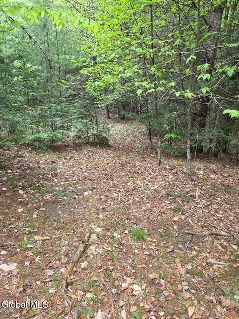 L2 & L3 Old Schroon Road, Pottersville, NY, photo 4
