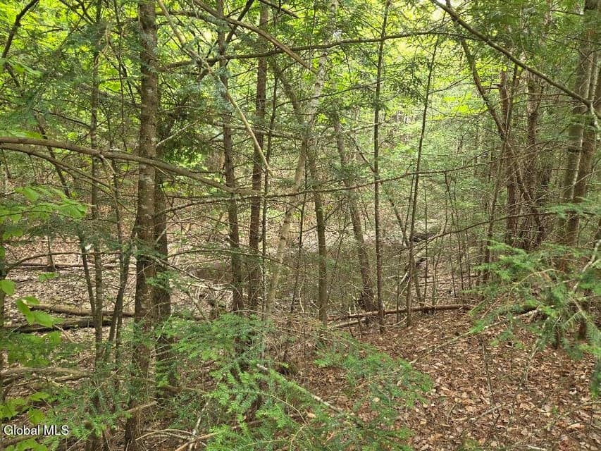 L2 & L3 Old Schroon Road, Pottersville, NY, photo 5