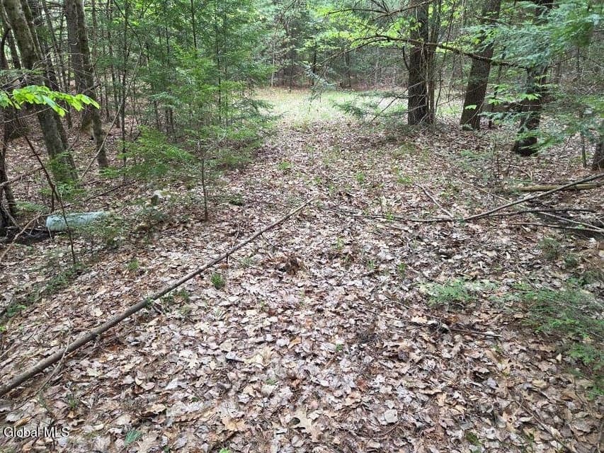 L2 & L3 Old Schroon Road, Pottersville, NY, photo 2