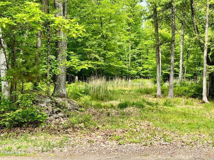 25 Catlin Road, Poestenkill, NY, photo 4