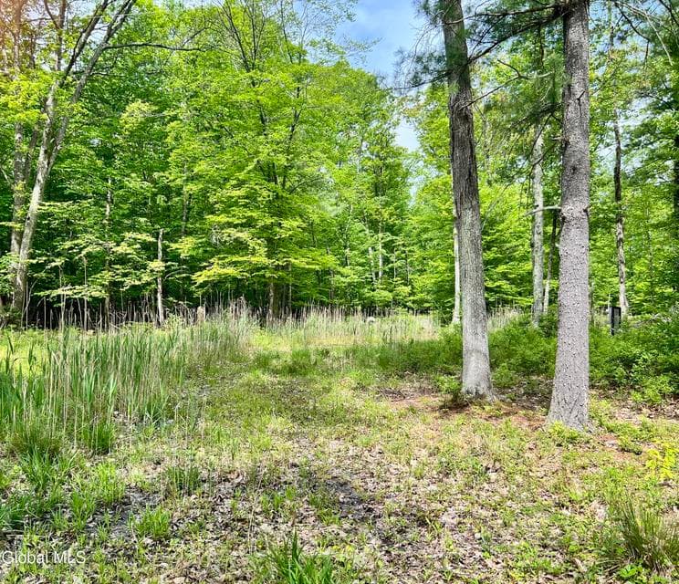 25 Catlin Road, Poestenkill, NY, photo 5