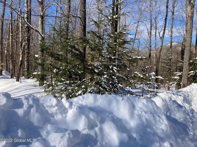 L4618114 Ruby Mountain View Drive, Johnsburg, NY, photo 1