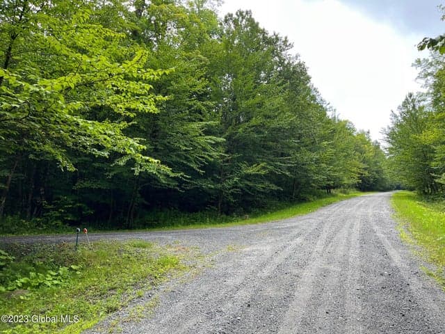 L93 Ruby Mountain View Drive, Johnsburg, NY, photo 2