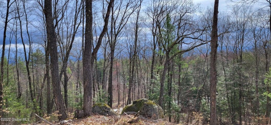L3 Clendon Brook Road #ADIRONDACK PK, Queensbury, NY