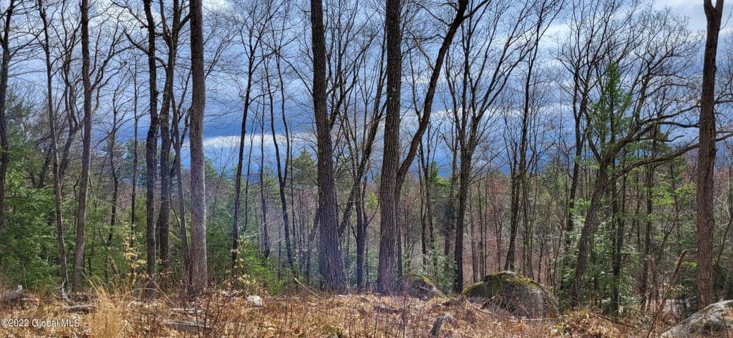 L3 Clendon Brook Road #ADIRONDACK PK, Queensbury, NY, photo 2