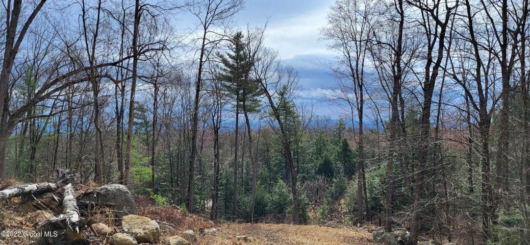 L3 Clendon Brook Road #ADIRONDACK PK, Queensbury, NY, photo 3