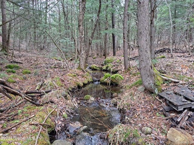 L21.1 Golf Course Road, Warrensburg, NY, photo 5