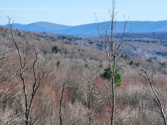 L1 Lang Road, Summit, NY, photo 2