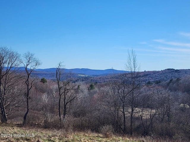 L1 Lang Road, Summit, NY, photo 5