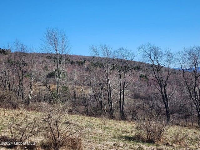 L1 Lang Road, Summit, NY, photo 4