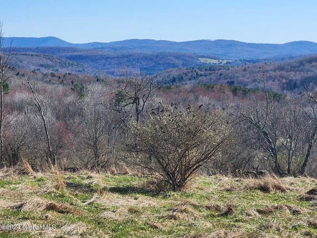 L2 Lang Road, Summit, NY, photo 1