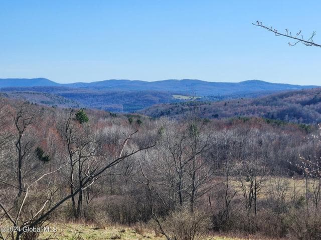 L2 Lang Road, Summit, NY, photo 3