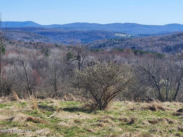 L2 Lang Road, Summit, NY, photo 2