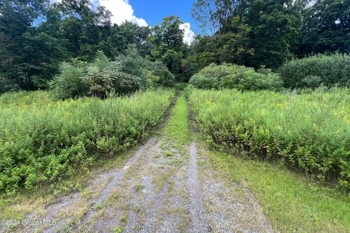 25 Daniels Road, Greenfield, NY, photo 4