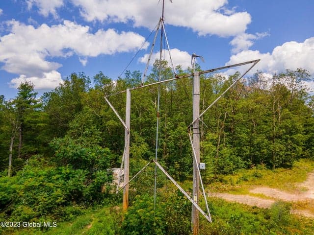 L16 MT Path, Middleburgh, NY, photo 5
