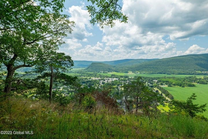 L16 MT Path, Middleburgh, NY, photo 1