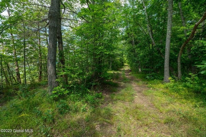 L16 MT Path, Middleburgh, NY, photo 4