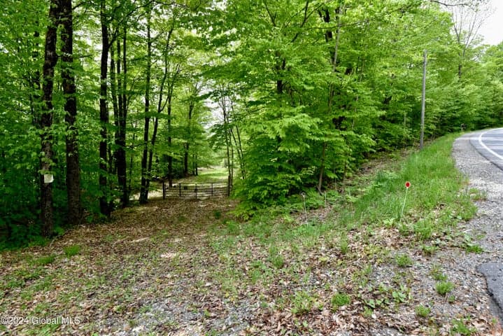 430 Lake Desolation Road, Greenfield, NY, photo 1